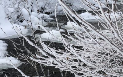 Saturday January 19, 2019