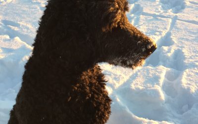 Friday February 15, 2019