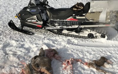 Thursday February 14, 2019