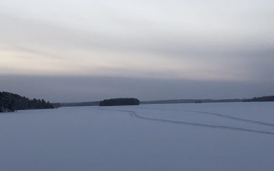 Friday February 8, 2019