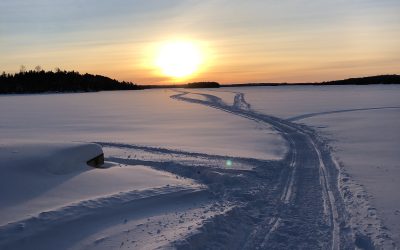 Sunday February 10, 2019