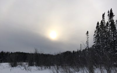 Monday February 11, 2019