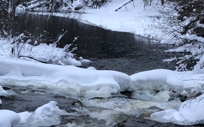 Tuesday February 12, 2019