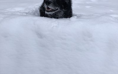 Wednesday February 13, 2019