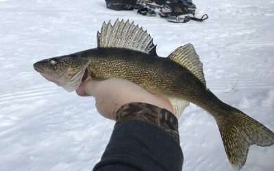 Tuesday March 5, 2019