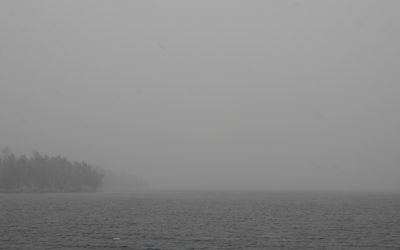 Monday April 29, 2019