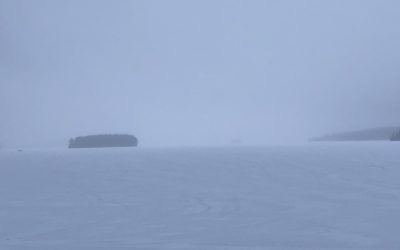 Friday April 5, 2019