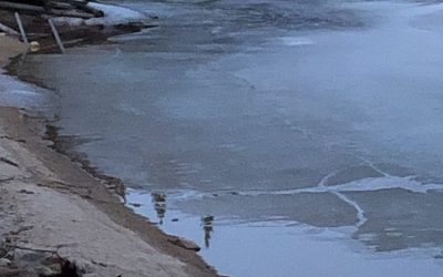 Friday April 19, 2019