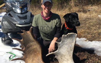 Wednesday April 17, 2019