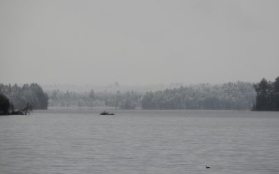 Thursday May 2, 2019