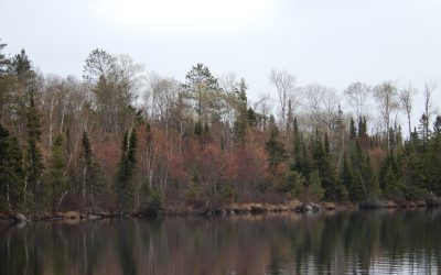 Tuesday May 14, 2019