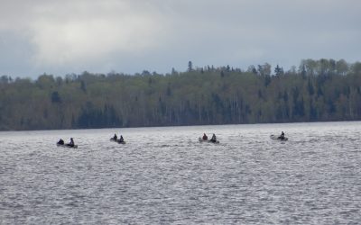 Saturday May 25, 2019