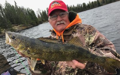 Wednesday May 29, 2019