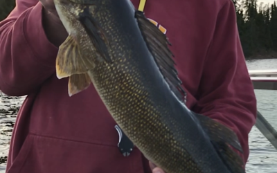 Tuesday May 28, 2019