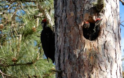 Monday June 24, 2019