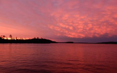 Sunday June 30, 2019