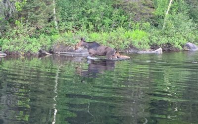 Sunday June 23, 2019