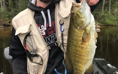 Tuesday June18, 2019