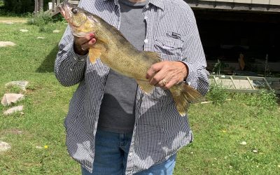 Saturday July 5, 2019