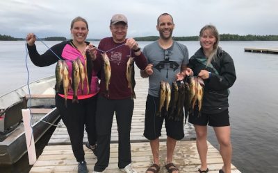 Monday July 30, 2019