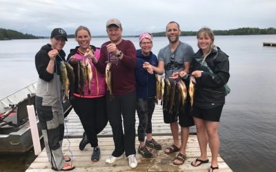 Wednesday July 31, 2018