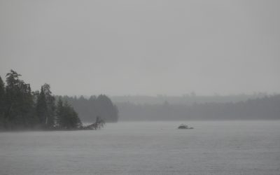 Tuesday September 3, 2019