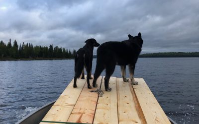 Tuesday September 24, 2019