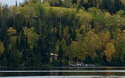 Saturday October 5, 2019