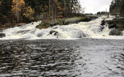 Wednesday October 16, 2019