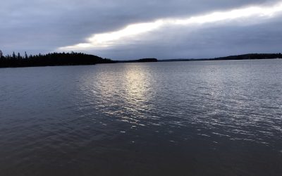 Wednesday October 30, 2019