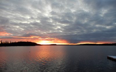 Sunday November 3, 2019