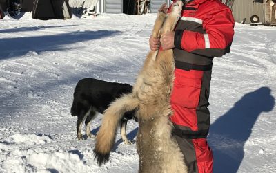 Friday December 13, 2019