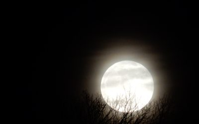 Saturday January 11, 2020