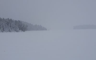 Saturday January 18, 2020