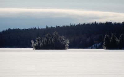 Friday January 31, 2020