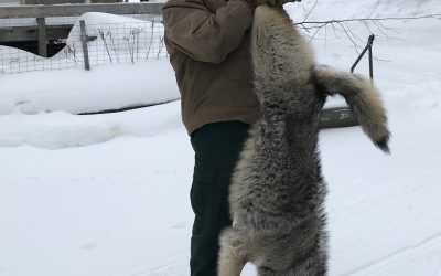 Friday January 10, 2020