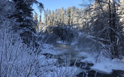 Friday January 17, 2020