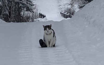 Monday January 20, 2020