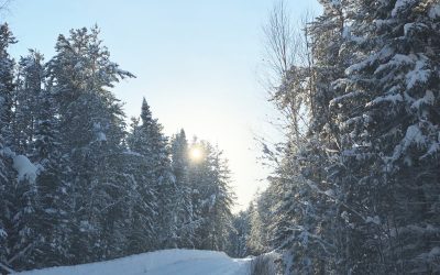 Tuesday January 21, 2020