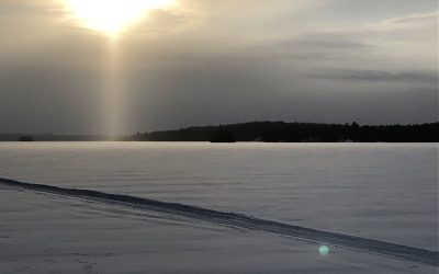 Saturday January 25, 2020