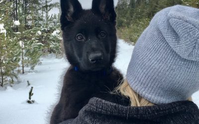 Monday January 27, 2020