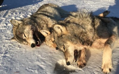 Tuesday February 25, 2020