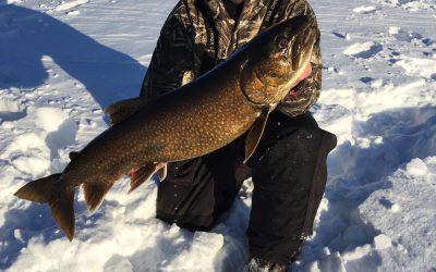 Friday February 21, 2020