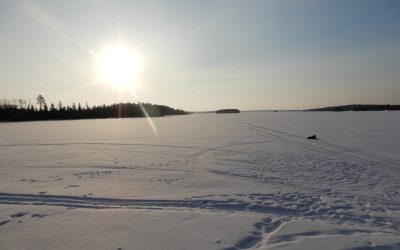 Tuesday March 24, 2020