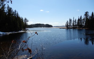 Thursday April 16, 2020