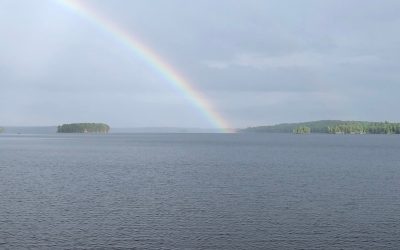 Tuesday June 30, 2020