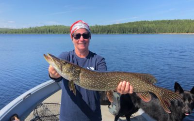 Saturday August 22, 2020