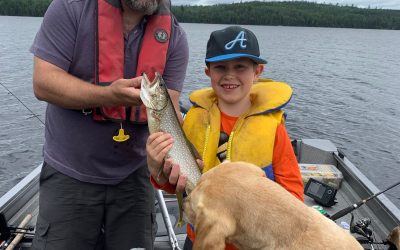 Tuesday August 18, 2020