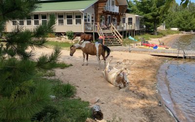 Thursday August 27, 2020