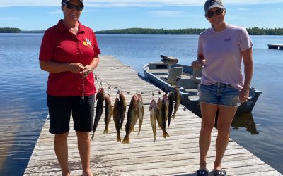 Sunday August 30, 2020